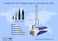 Máquina cirúrgica da remoção da cicatriz da pele do laser do CO2 10600nm portátil para animais de estimação