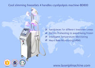 Máquina de Cryolipolysis da perda de peso de 4 punhos/máquina de congelação gorda do emagrecimento da cavitação do vácuo