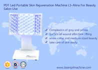 PDT conduziu a máquina portátil L5-Alina do rejuvenescimento da pele para a máquina da beleza