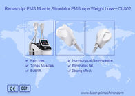 Stimulator do músculo do emagrecimento 220v 300µS EMS do corpo 2.3KVA