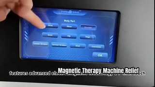 Máquina magnética portátil da fisioterapia da terapia eletromagnética PEMF 2000W