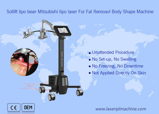 Bom preço beleza portátil da máquina 6d Lipolaser Zerona de 220v Cryolipolysis on-line