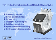 7 em 1 limpeza facial da hidro máquina portátil de Dermabrasion