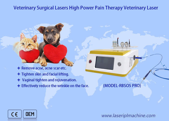 Os animais de estimação causam dor ao dispositivo veterinário do laser da terapia do laser do diodo 980nm cirúrgico da recuperação