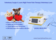 Os animais de estimação causam dor ao dispositivo veterinário do laser da terapia do laser do diodo 980nm cirúrgico da recuperação