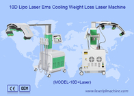 Ems Placa de Refrigeração Máquina de Perda de Peso a Laser Maxlipo Master 10d