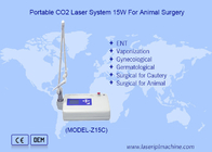 Dispositivo cirúrgico a laser de CO2 para cirurgia animal