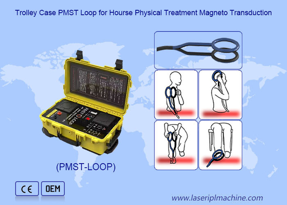 Fisioterapia Magneto Terapia de campo magnético com oscilação de 4500 HZ