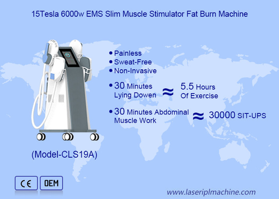Máquina de escultura Tesla EMS para queima de gordura e escultura corporal