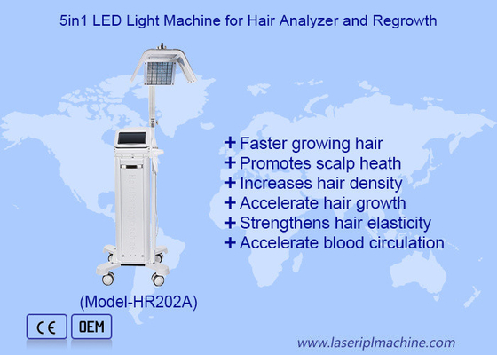 8 de bio da energia polegadas máquina do crescimento do cabelo do laser do pulso ultra