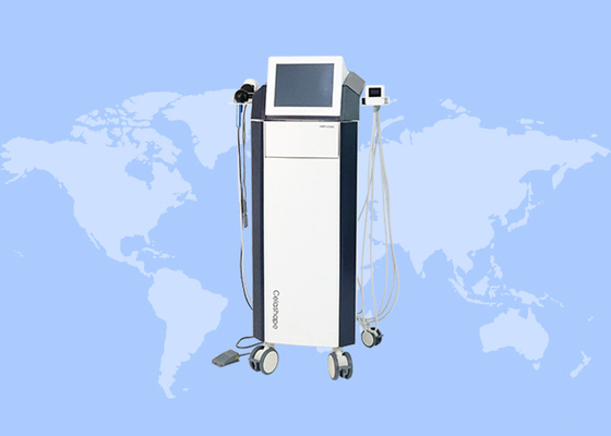 Máquina de emagrecimento não invasiva de RF Trusculpt Face Lifting Fat Burning Body Slimming Machine