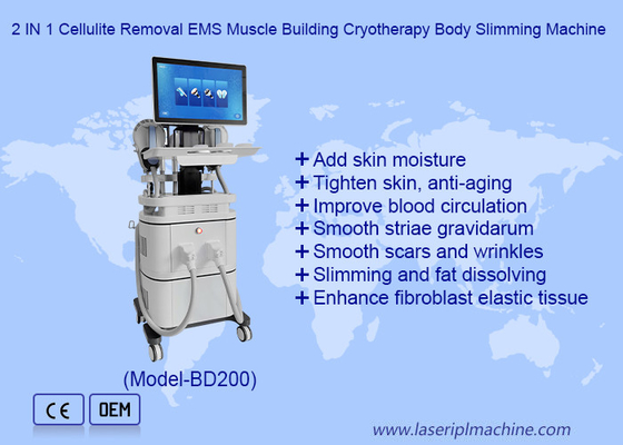 EMS RF Construção Muscular 40k Cavitação 360 Máquina de Congelamento de Gordura Crioterapia