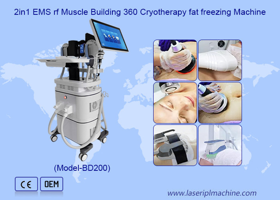 EMS RF Construção Muscular 40k Cavitação 360 Máquina de Congelamento de Gordura Crioterapia
