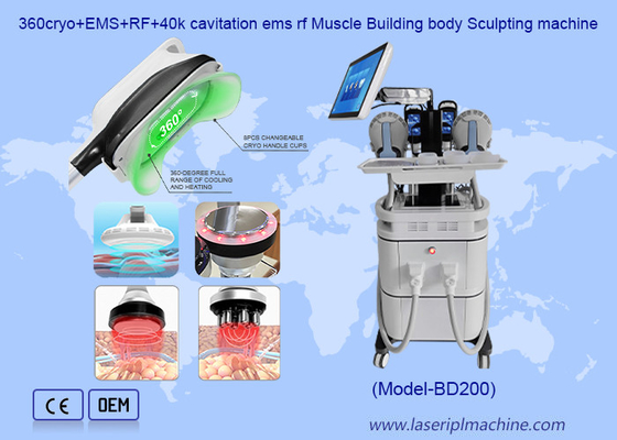 2 em 1 Máquina de Eliminação de Celulite EMS Construção Muscular Crioterapia Corpo de Emagrecimento