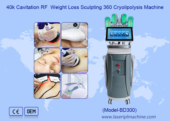 40k Cavitação RF Perda de Peso Esculpindo 360 Máquina de Cryolipolysis