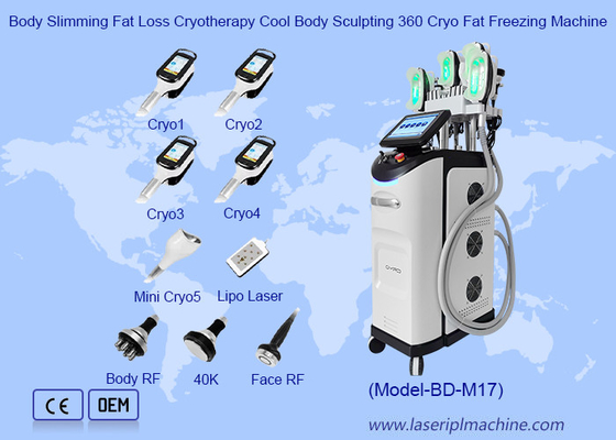 Perda de gordura do corpo emagrecimento crioterapia escultura corporal fresca 360 máquina de congelamento de gordura cryo