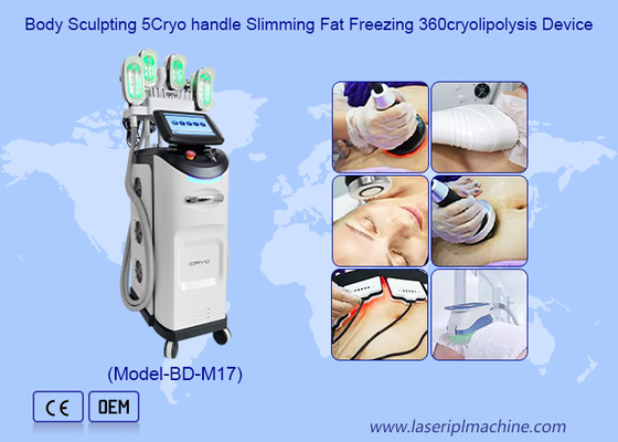 Equipamento profissional da beleza da perda de peso da máquina do emagrecimento de Cryolipolysis