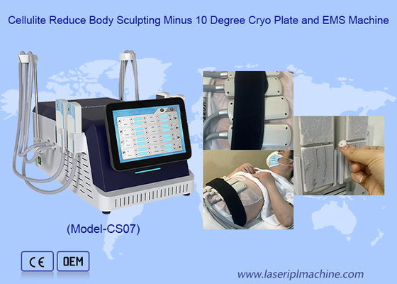 2 em 1 Cryo Plate e EMS máquina de emagrecimento para a gordura de congelamento da pele de aperto