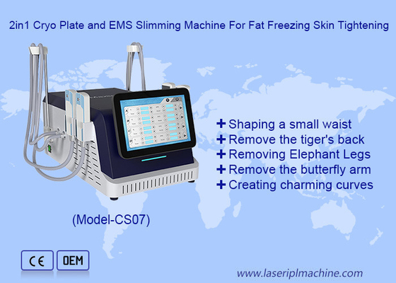 2 em 1 Cryo Plate e EMS máquina de emagrecimento para a gordura de congelamento da pele de aperto