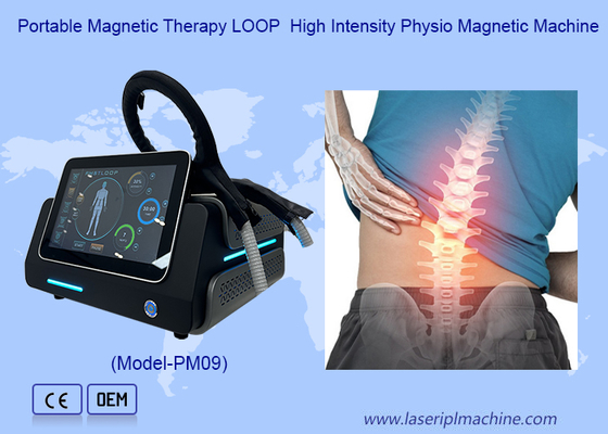 Máquina de Terapia PEMF de Loop Pmst para Alívio da Dor Humana e Cuidados com a Saúde Animal