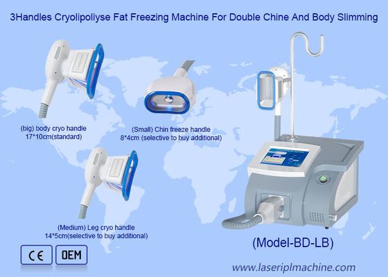 Máquina de congelação de 360 gramas congeladas por cryo manipulação de gordura