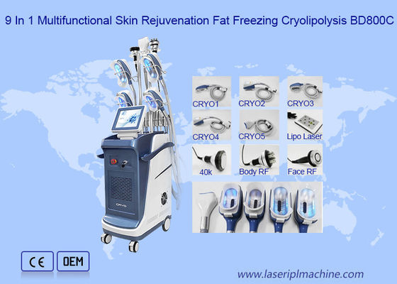 máquina do emagrecimento do laser Cryo do RF Lipo da cavitação 40K