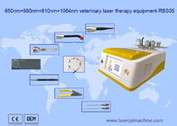 remoção do cabelo do laser do diodo de 650nm 810nm 980nm 1064nm portátil para o uso animal
