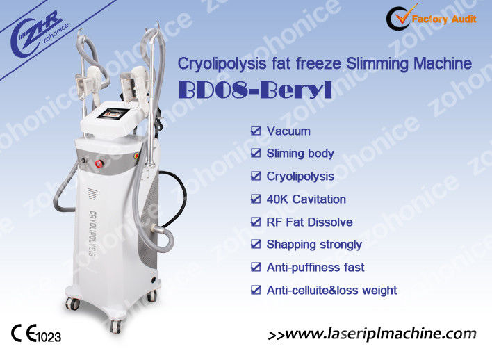 Limpe o dispositivo ultra-sônico da lipoaspiração da máquina do emagrecimento de Cryolipolysis da cavitação 40K