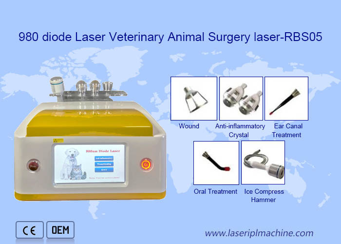 Máquina veterinária da remoção do laser do diodo 980nm portátil do uso da clínica