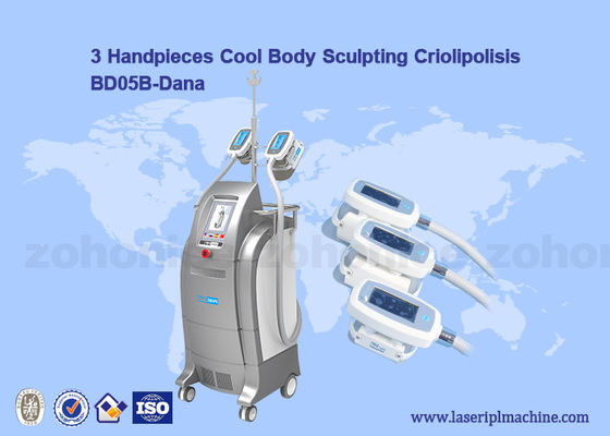 Bom preço Limpe Cryolipolysis/corpo fresco que esculpe a máquina da redução da membrana/celulites de Criolipolisis on-line