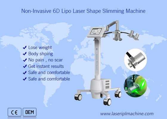 Bom preço Beleza inteira da perda de peso corporal 6d da máquina não invasora do emagrecimento de 532nm Cryolipolysis on-line