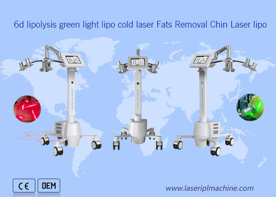 Bom preço beleza gorda fresca da remoção do laser da luz verde da máquina da lipólise 6d on-line