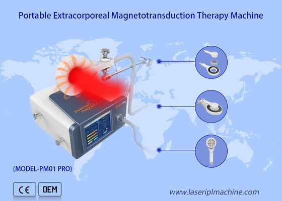 Bom preço Máquina de Magneto Terapia Infrarroja Circulação sanguínea Alivio da dor Laser Fisioterapia on-line