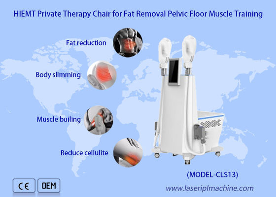 Bom preço Máquina de levantamento do Ems da perda de peso de Buttbuck de 2 punhos que esculpe a massagem do músculo on-line