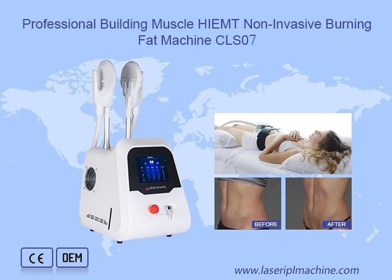 Máquina eletromagnética gorda da remoção HIEMT do emagrecimento do corpo