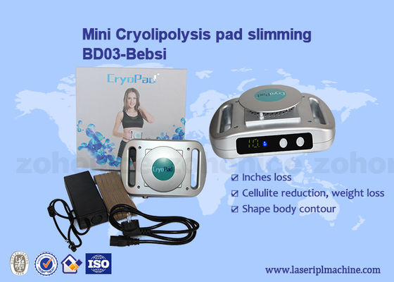 Bom preço Uso emagrecimento 220v/110v de Mini Cryolipolysis Machine da casa on-line