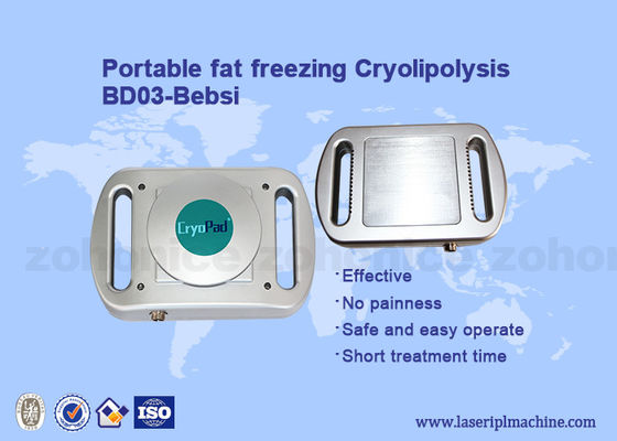 Bom preço A gordura reduz a máquina portátil do emagrecimento do cryolipolysis de Cryolipolysis on-line