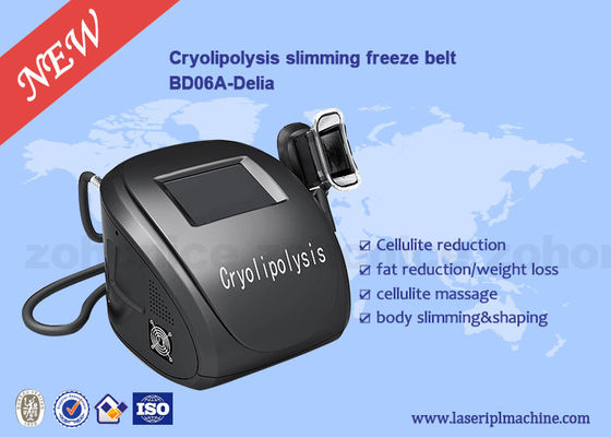 Bom preço Corpo portátil que esculpe o emagrecimento de Cryolipolysis e a máquina da perda de peso on-line