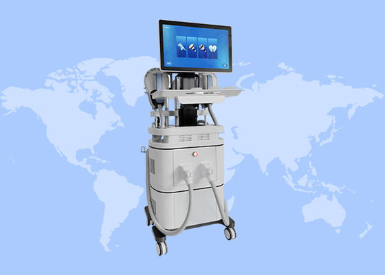 Bom preço 2 em 1 Máquina de Eliminação de Celulite EMS Construção Muscular Crioterapia Corpo de Emagrecimento on-line