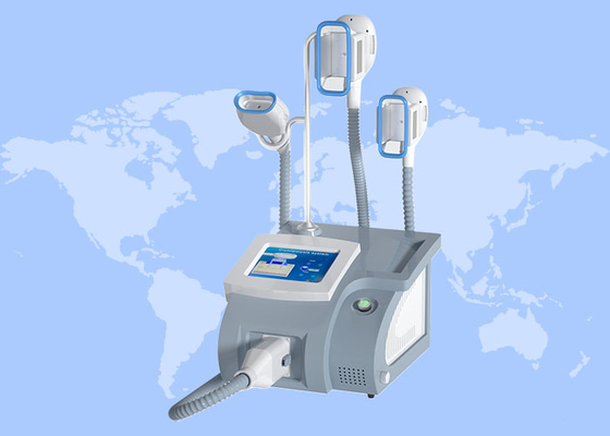 Máquina de congelação de 360 gramas congeladas por cryo manipulação de gordura
