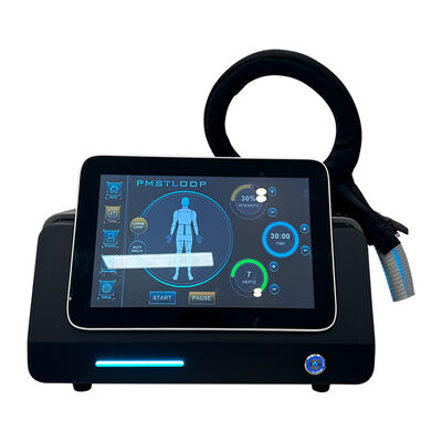 Bom preço Máquina de Terapia PEMF de Loop Pmst para Alívio da Dor Humana e Cuidados com a Saúde Animal on-line