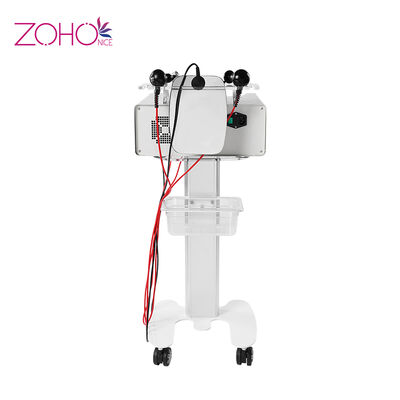 Bom preço Corpo gordo da faca que dá forma ao CET do RET da máquina da beleza do rejuvenescimento 220v Rf da pele on-line