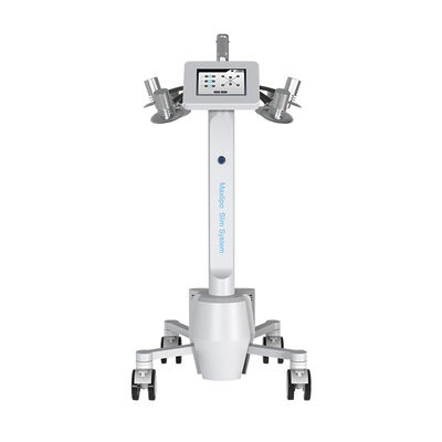 Bom preço remoção clara verde das celulites da perda de peso da máquina do laser de 532nm Lipo on-line