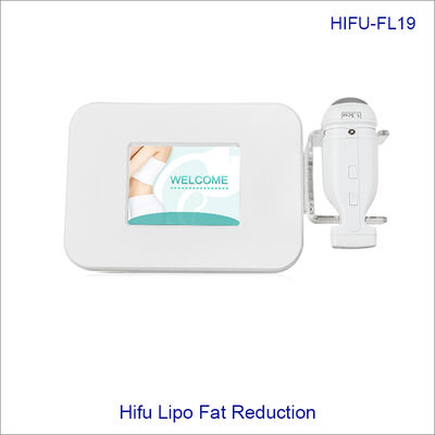 Bom preço Portale dirige máquina focalizada alta intensidade do ultrassom 110v/220v da máquina de 3D HIFU on-line