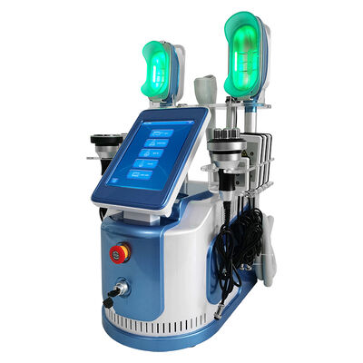 Bom preço 650nm - máquina do emagrecimento de 550nm Cryolipolysis para dar forma do corpo/pele Tigtening on-line