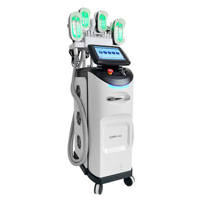 Bom preço Perda de gordura do corpo emagrecimento crioterapia escultura corporal fresca 360 máquina de congelamento de gordura cryo on-line