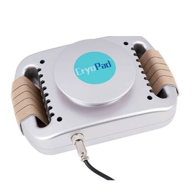 Bom preço Uso emagrecimento 220v/110v de Mini Cryolipolysis Machine da casa on-line