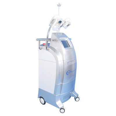 Bom preço Corpo magro fresco do cryolipolysis de 3 punhos do tamanho que esculpe o equipamento/máquina dos criolipolisys on-line