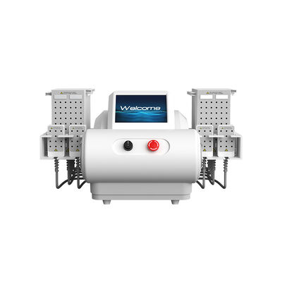 Bom preço 635nm 650nm 940nm 980nm Diodo Laser EMS placa de lipoaspiração máquina de emagrecimento corporal on-line