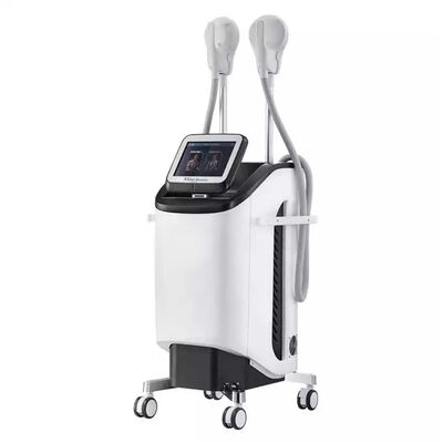 Máquina eletromagnética do emagrecimento do corpo da cavitação de 2.3KVA 220v